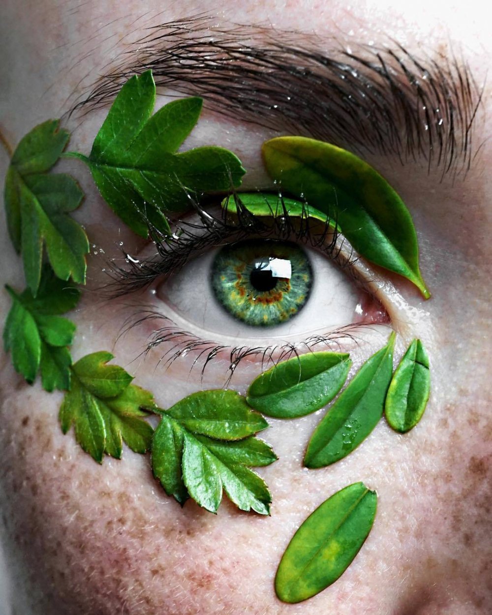 Зеленые красивые глаза Эстетика
