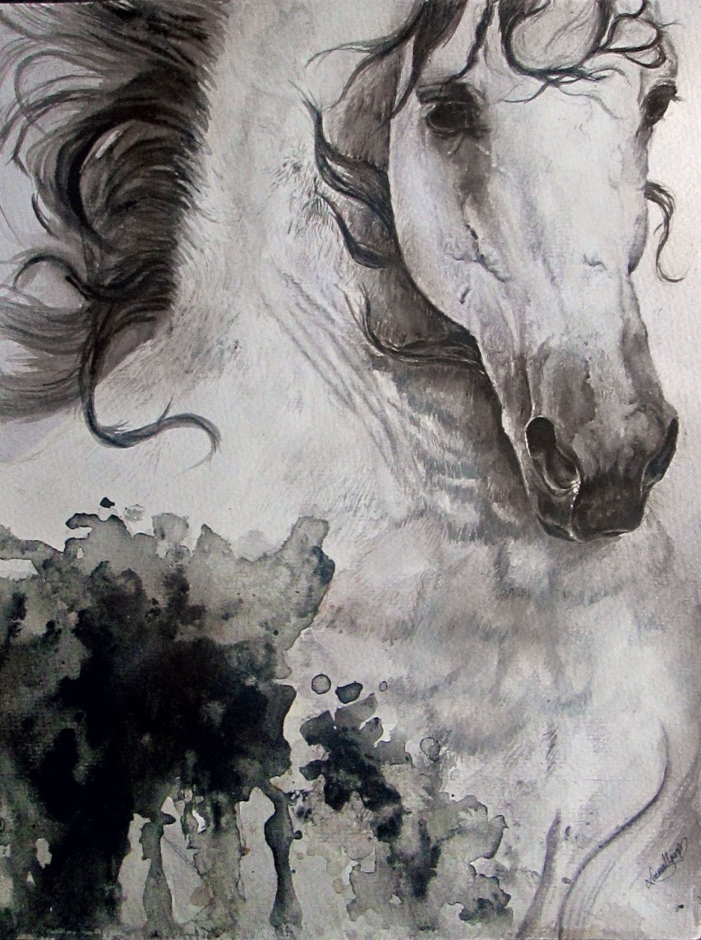 Лошадь арт карандашом