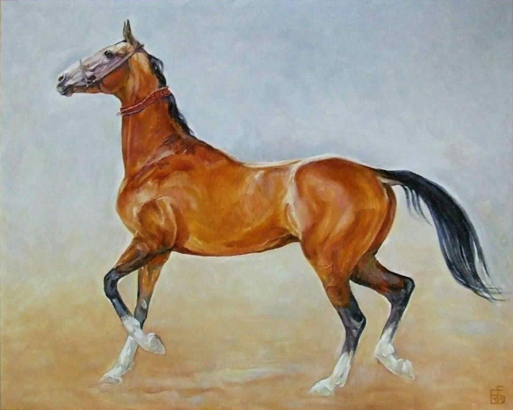 Ахалтекинская лошадь акварелью
