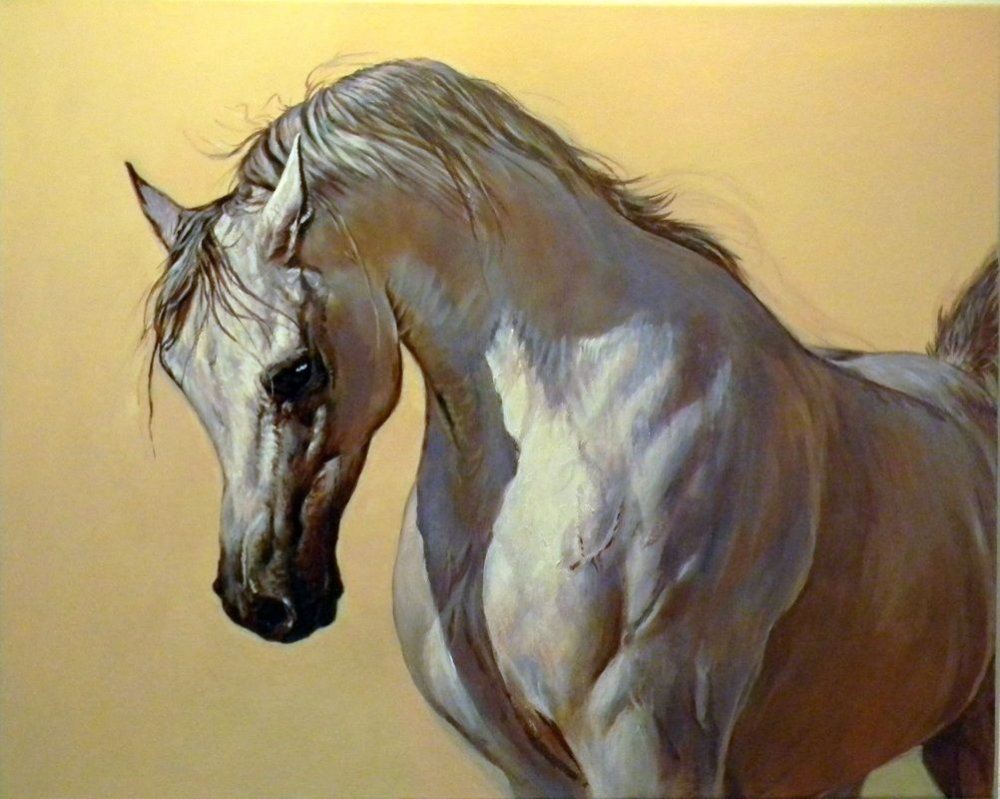 Арабская лошадь портрет