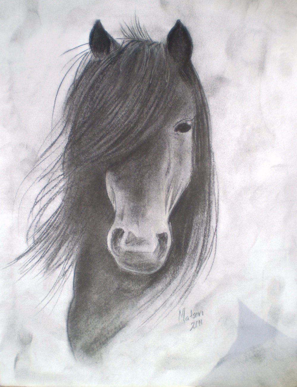 Милые рисунки карандашом коней