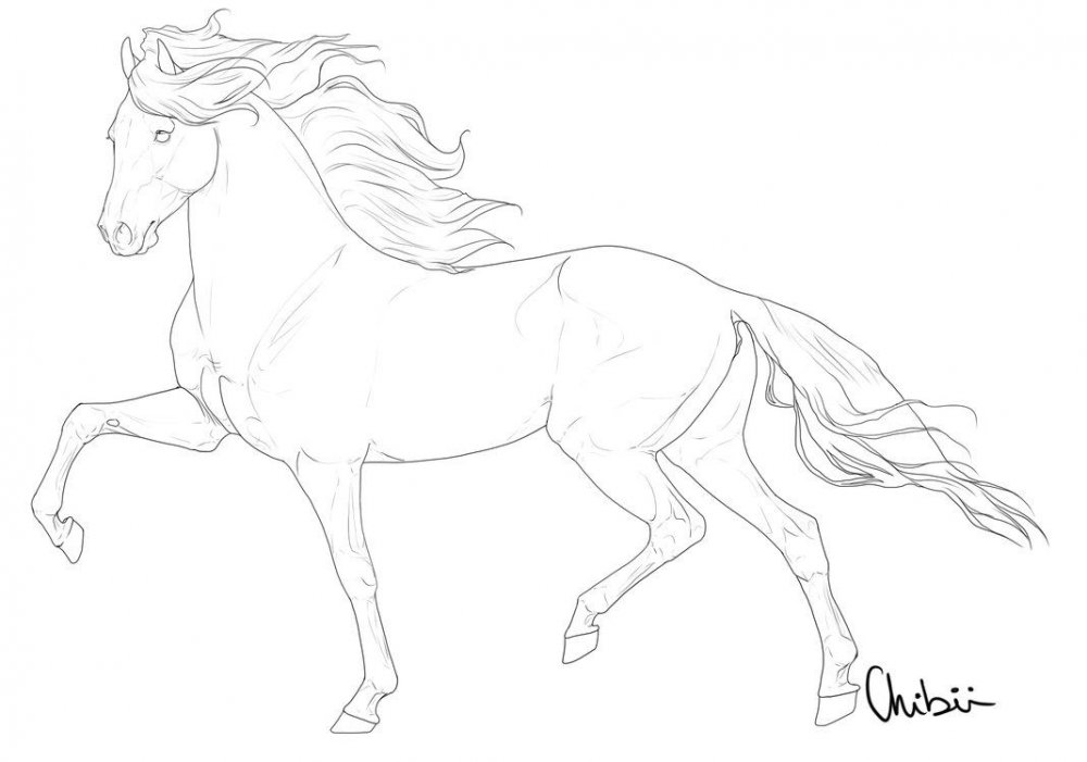 Бегущая лошадь рисунок карандашом