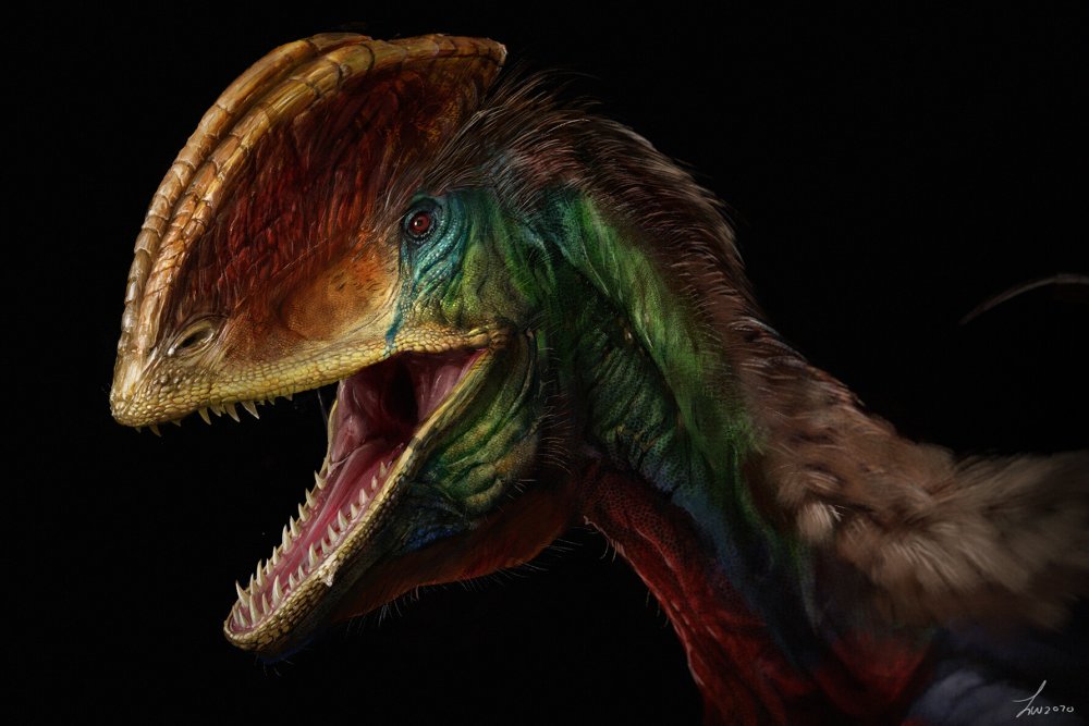 Дилофозавр картинки