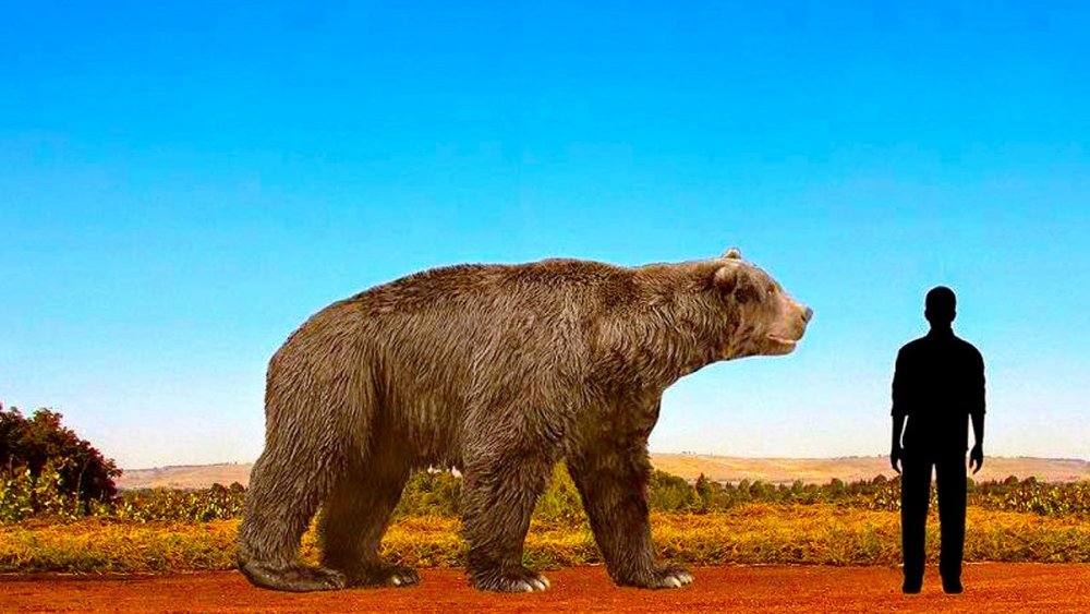 Гигантский Короткомордый медведь