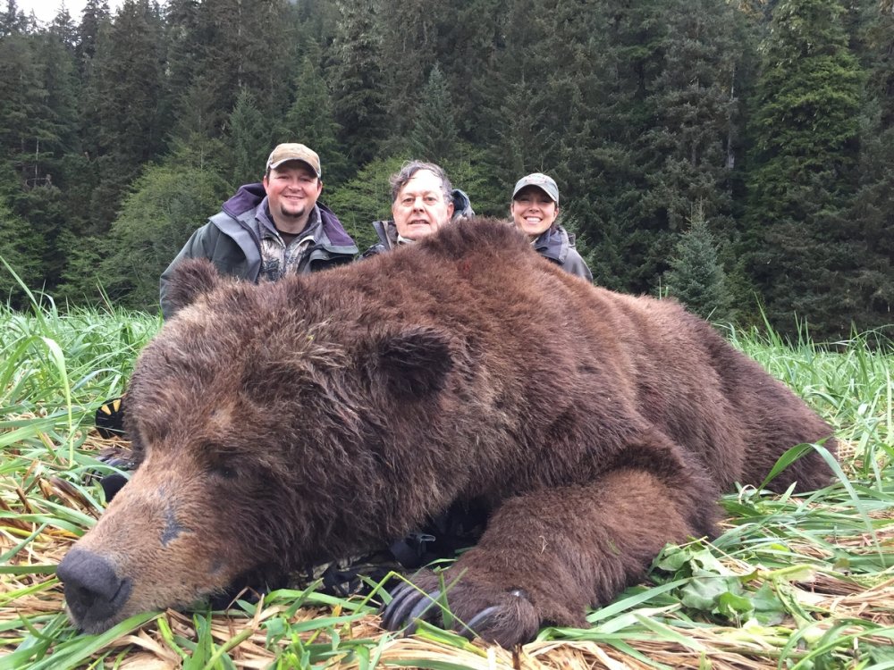 Медведь людоед Гризли на Аляске
