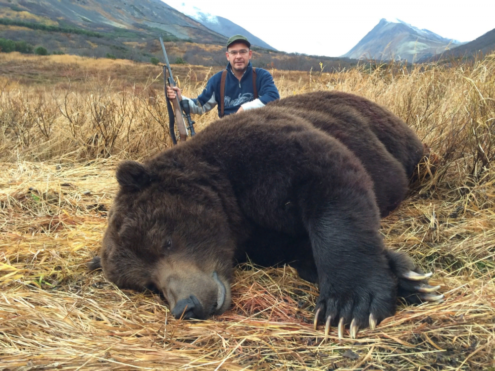 Самый большой медведь Гризли в мире