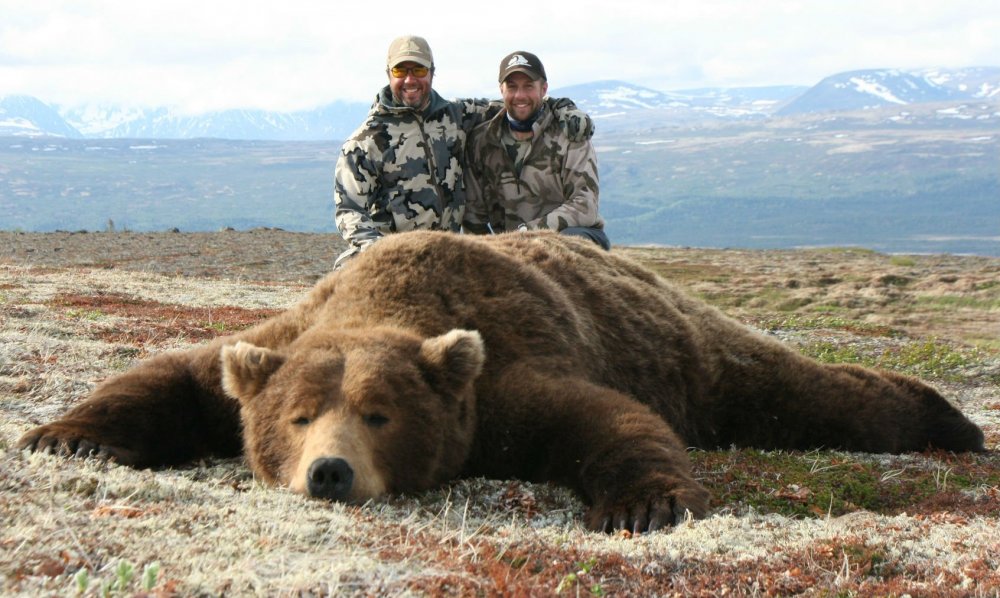 Самый большой медведь Кадьяк 1200 кг