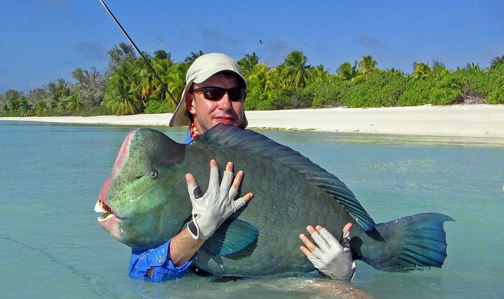 Рыбы Мальдивских островов