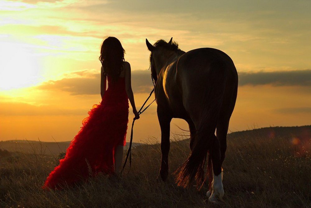 Девушка на лошади на закате