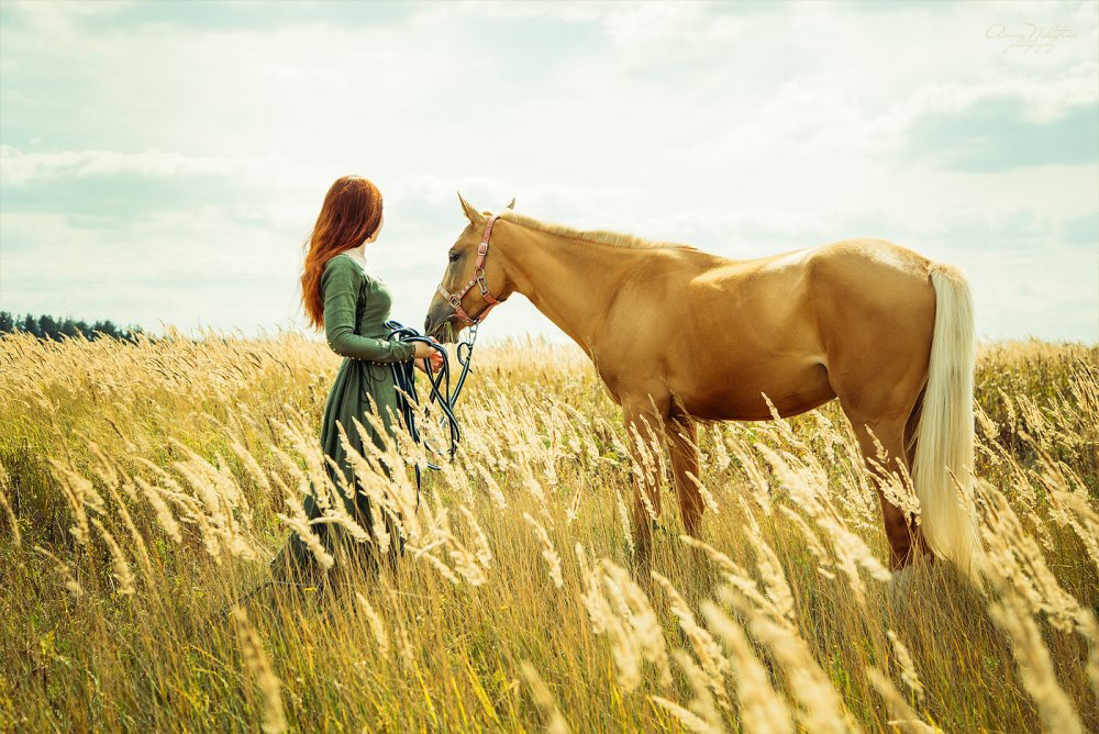 Фотосессия с лошадью в поле