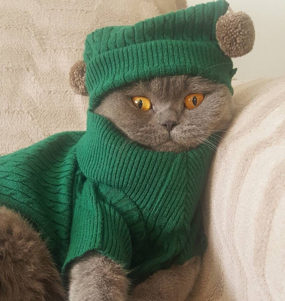Кот в русском костюме