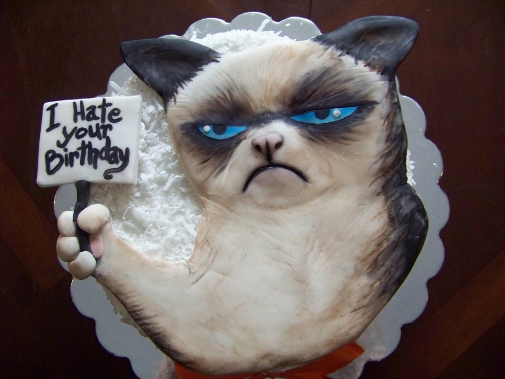 Смешной торт с котом