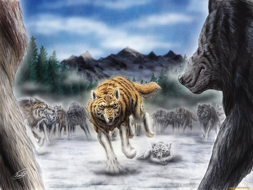 Тигр против волка