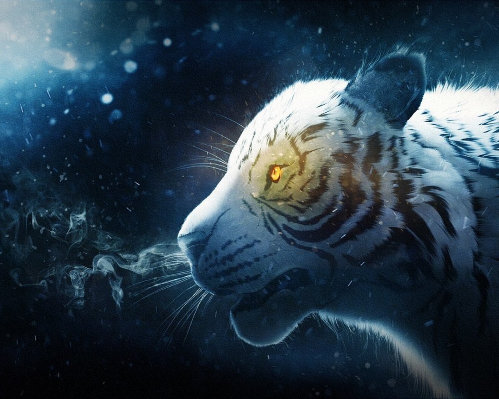 Космические животные тигры