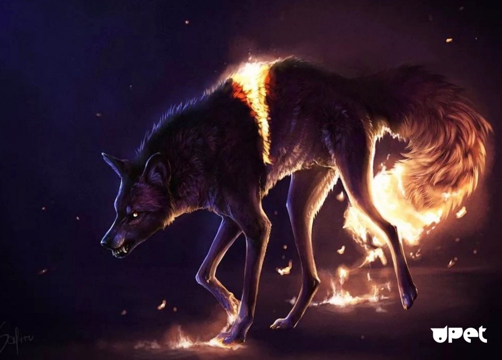 Необычные волки
