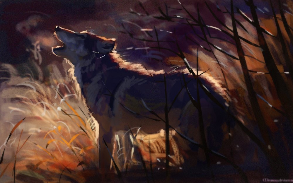 Арт животные волк