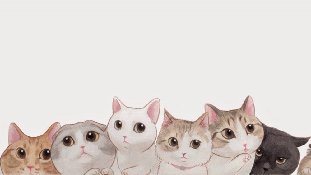 Милые котики на прозрачном фоне