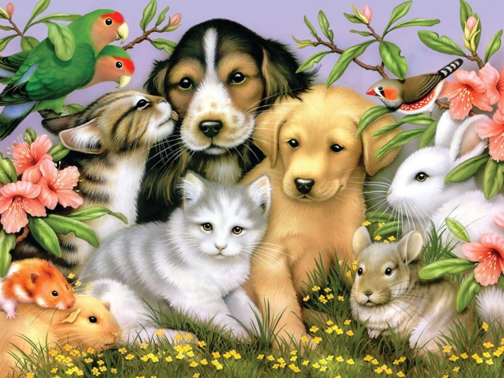 Плакат охрана животных