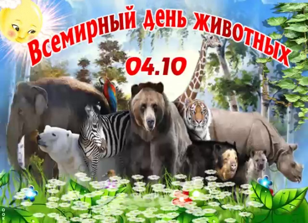 День животных