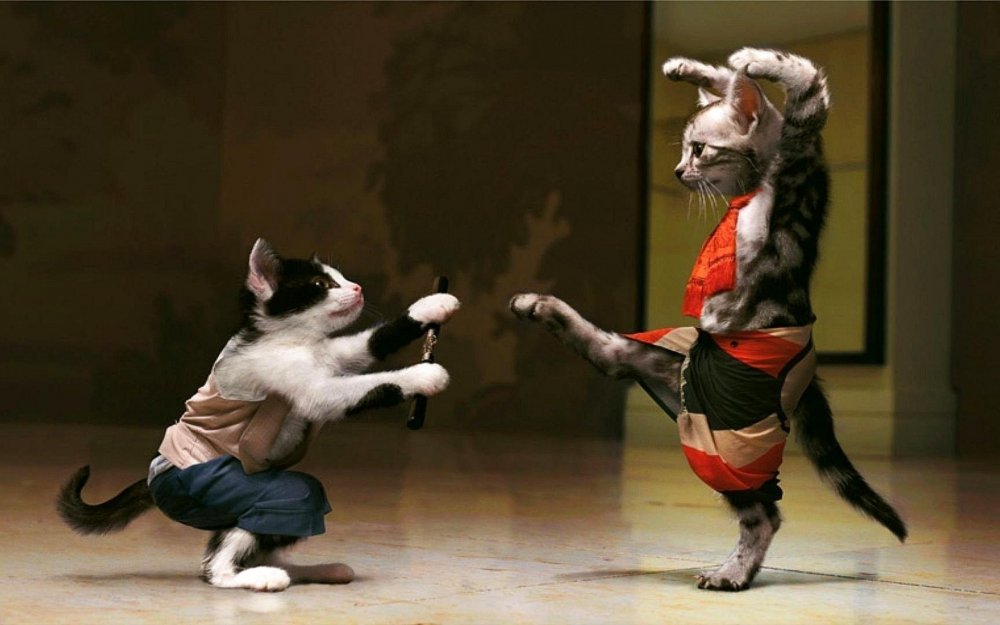 Животные танцуют