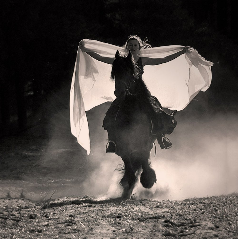 Девушка на черной лошади