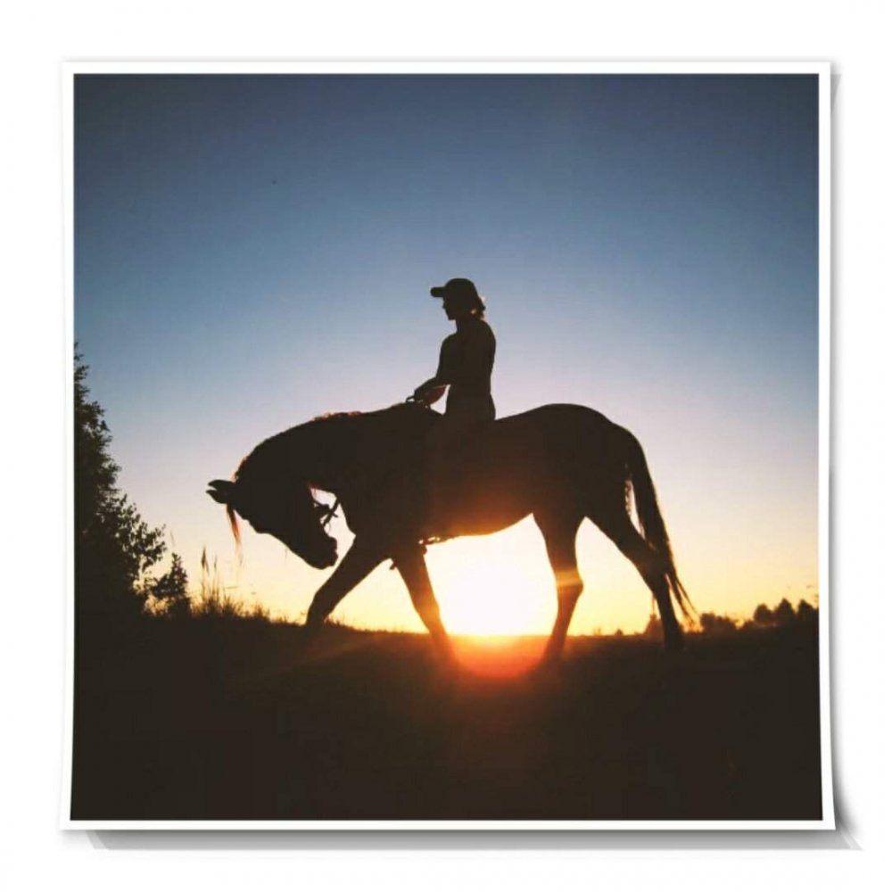 Йен Сомерхолдер верхом на лошади. Тонущая лошадь с всадником. Конь на дыбах с ребёнком.