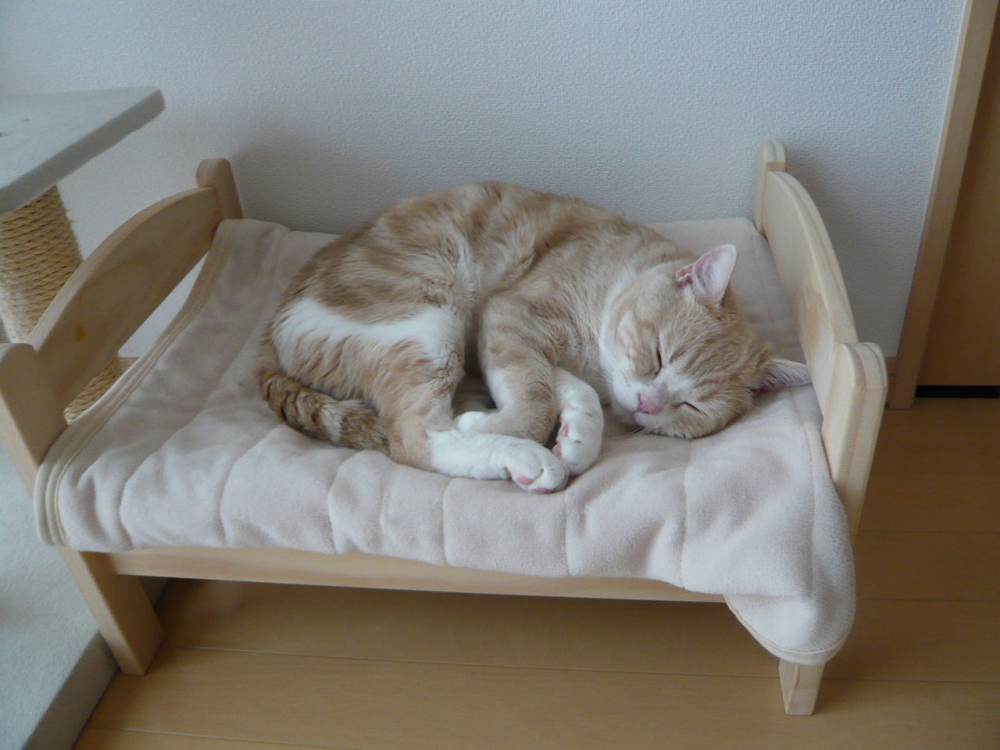 Икеа ДУКТИГ кровать для кошек