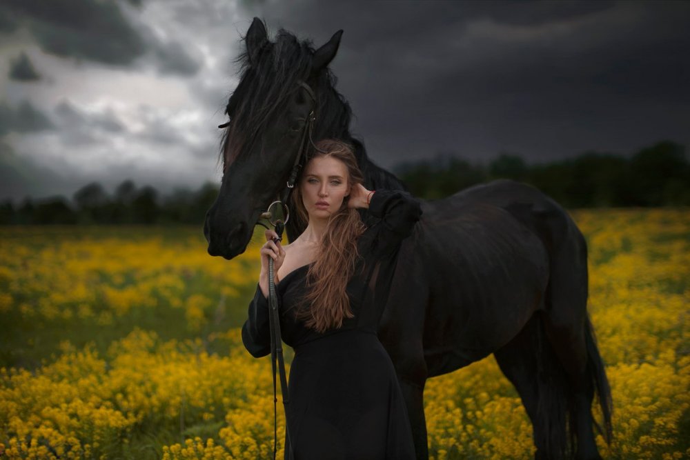 Девушка на черной лошади