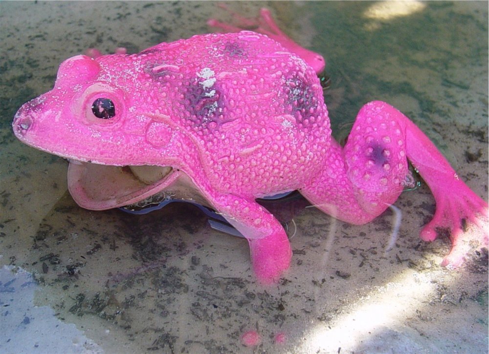 Розовая декоративная лягушка