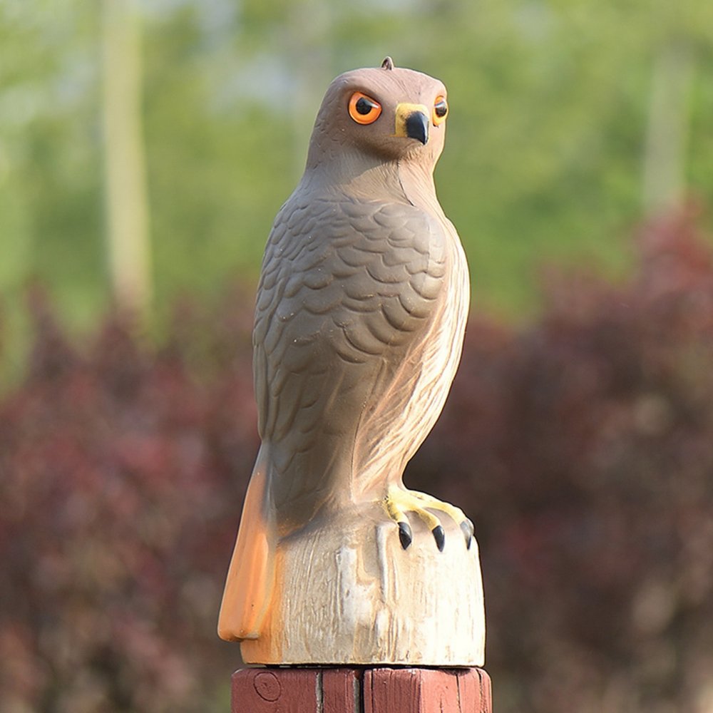 Индия скульптура птицы Джатаю