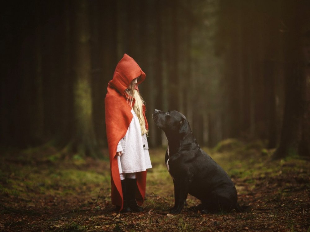 Девушка с собакой в лесу