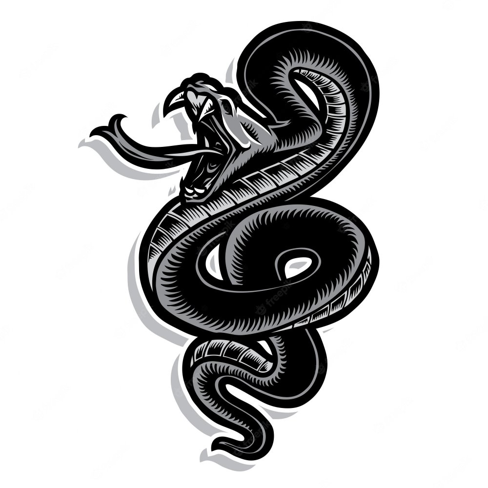 Эскиз тату двух змей черная и белая