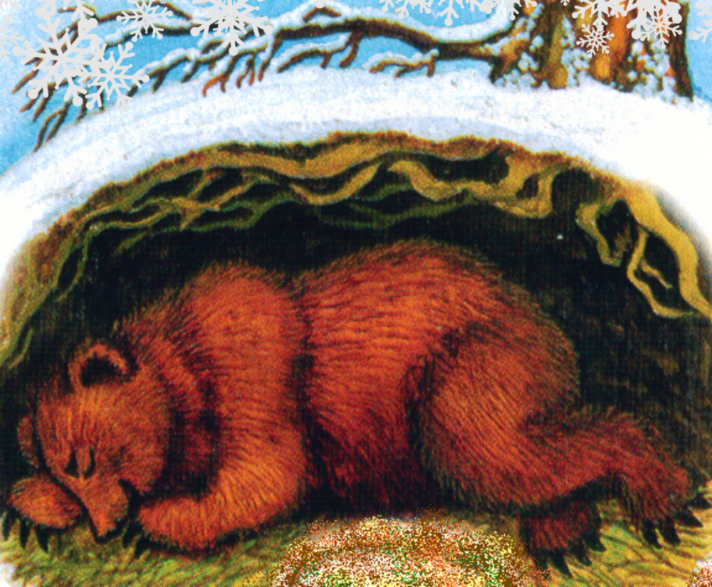 Медведица спит с медвежатами