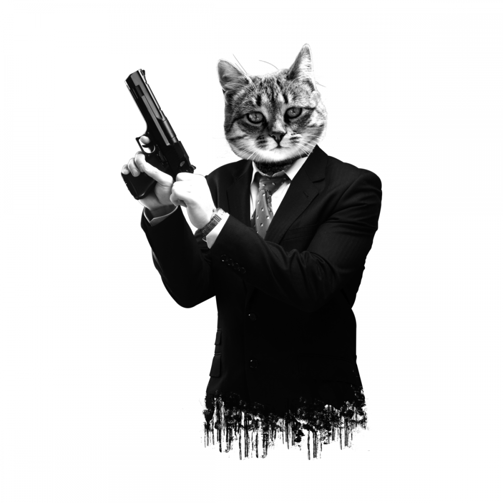 Кот с ружьем