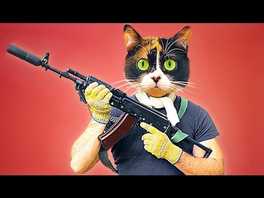 Котейка с пистолетом