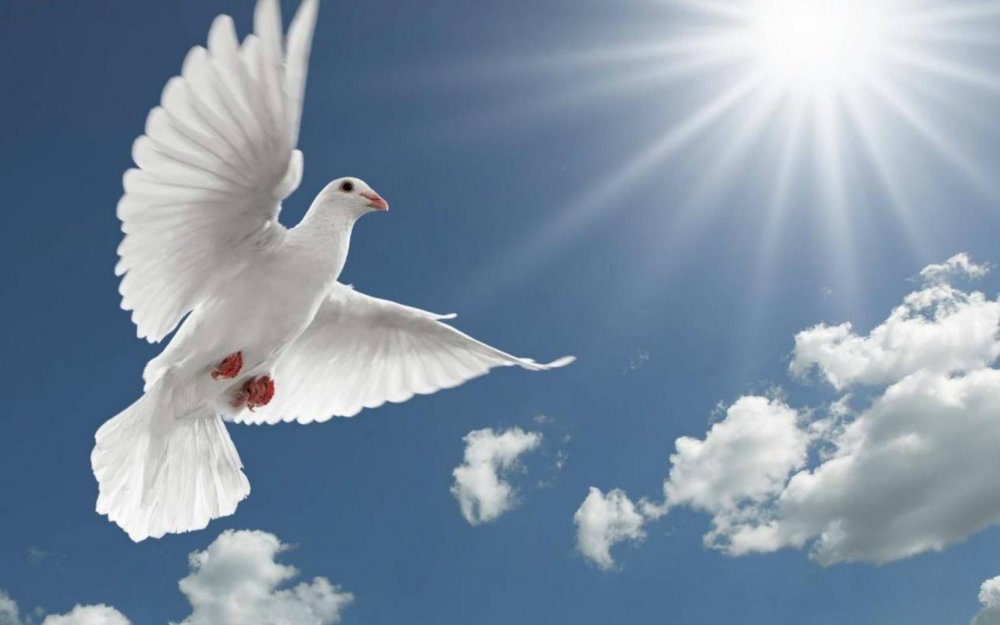 Сошествие Святого духа голубь