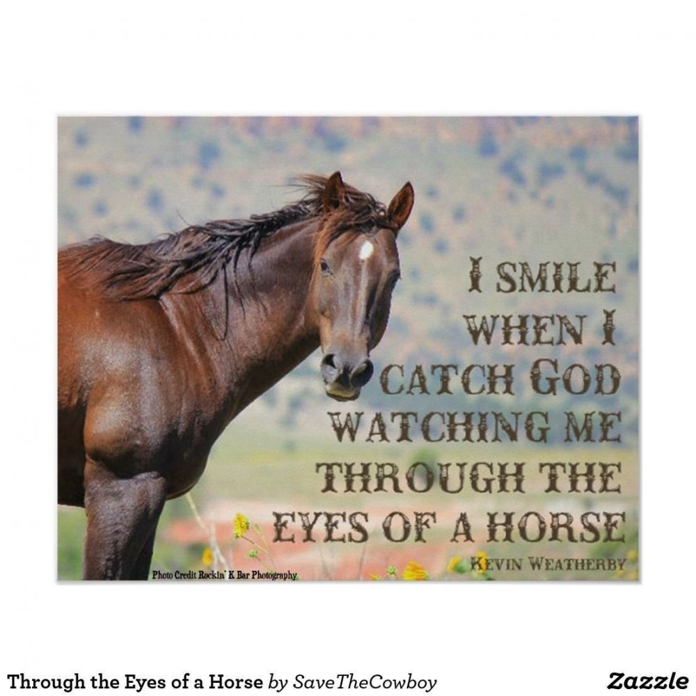 Слоганы про лошадей