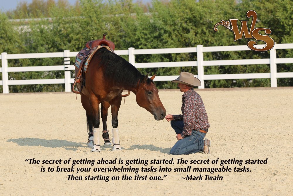 Великие цитаты про лошадей