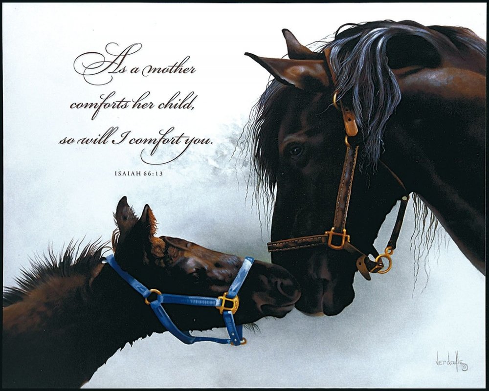 Библия про коней и лошадей