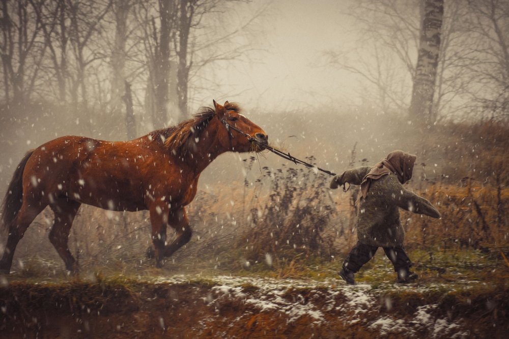 Атмосферные фотосессии с лошадьми и людьми