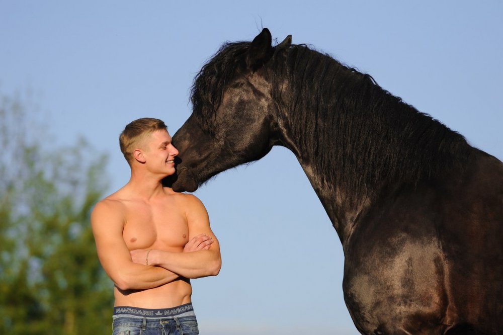 Человек рядом с лошадью