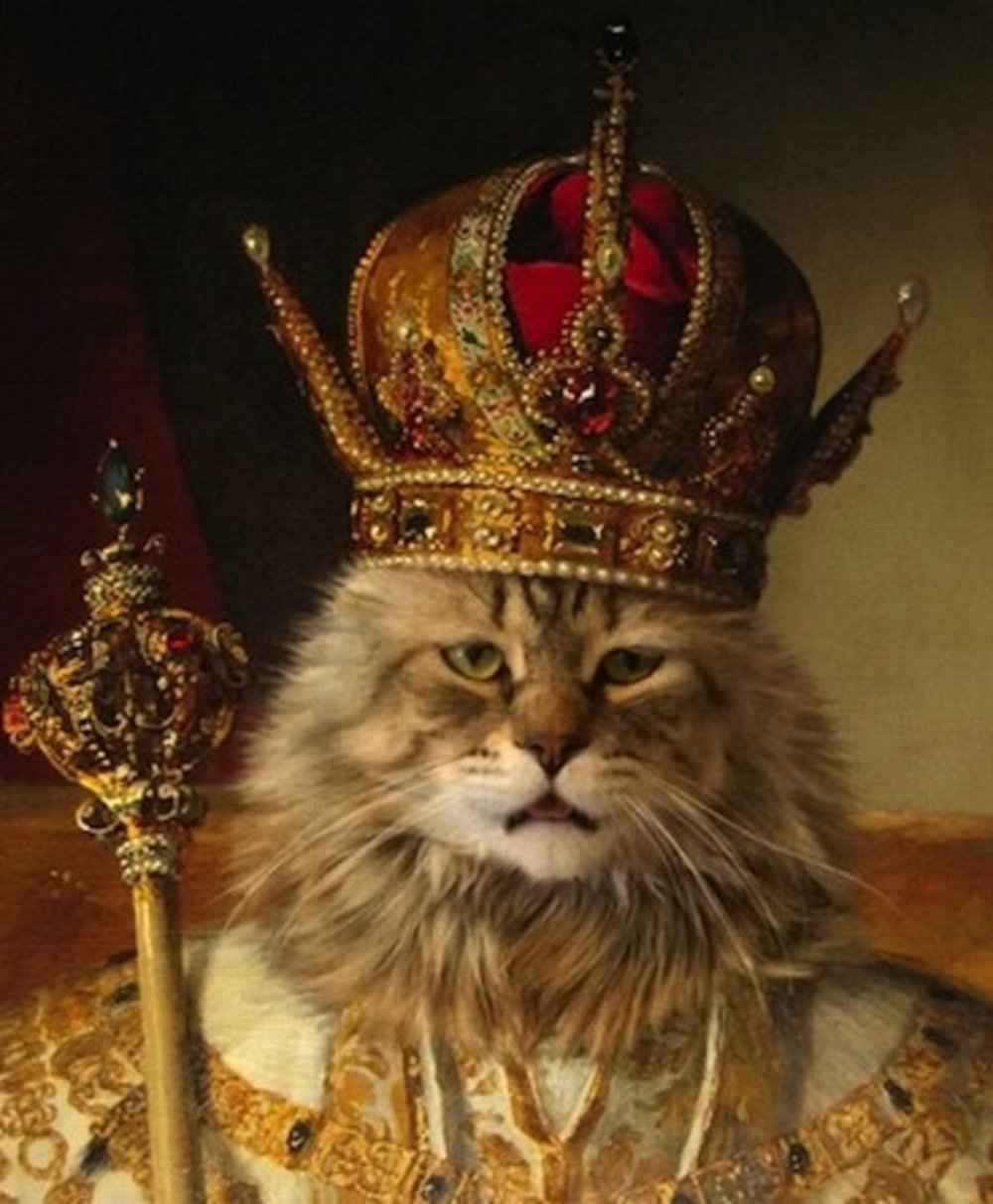 Кот царя Алексея Михайловича портрет