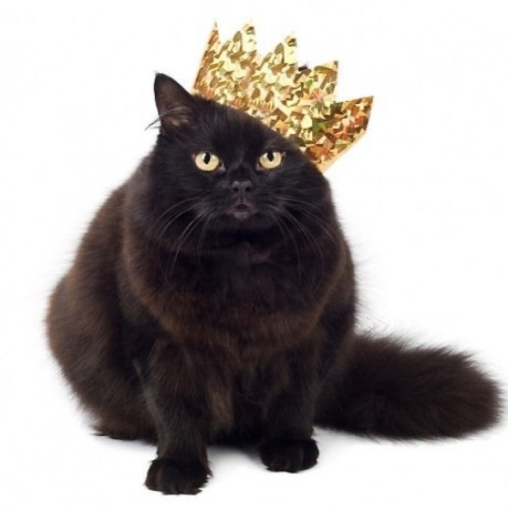 Черная кошка с короной