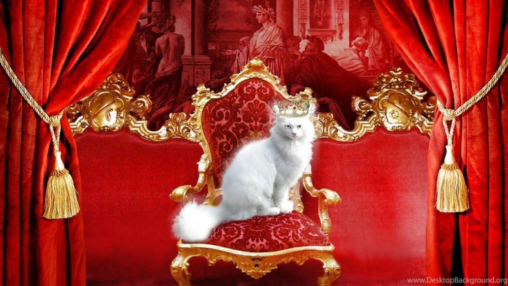 Кот в царской короне