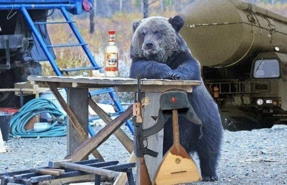 Медведь с балалайкой и водкой