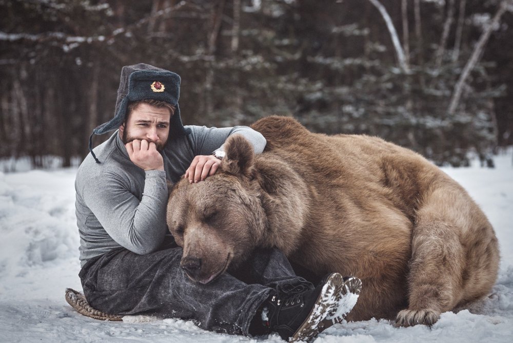 Медведь в ушанке
