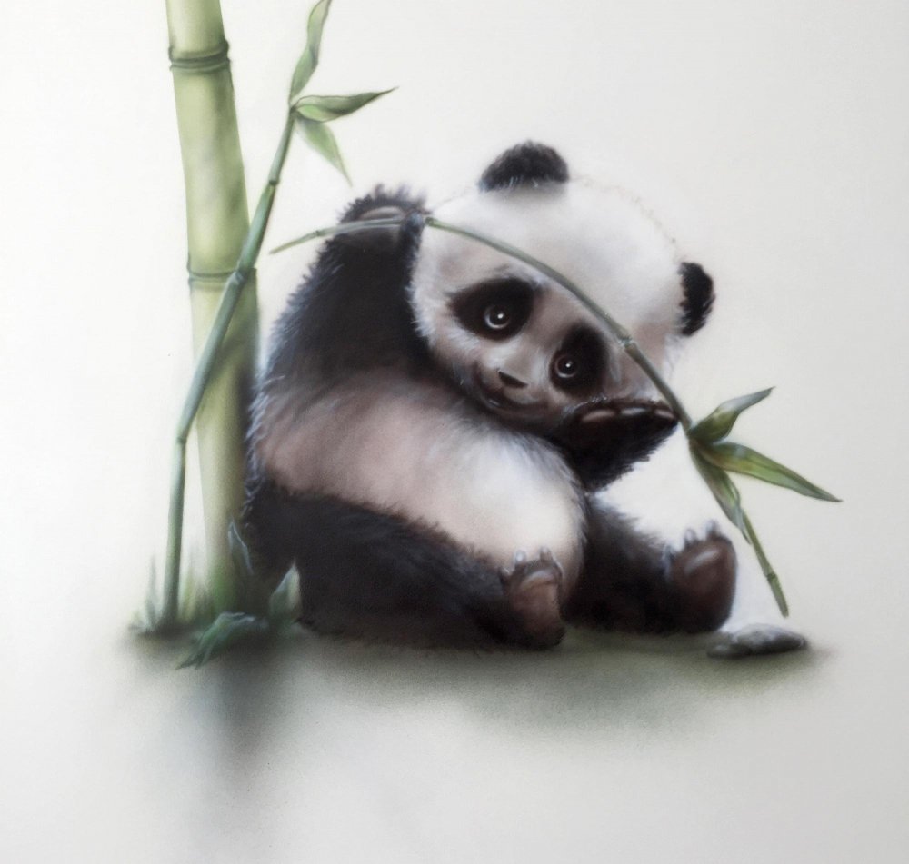 Грустная маленькая Панда