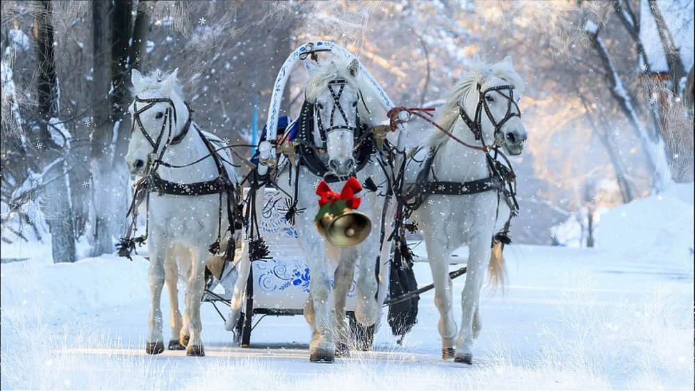Тройка лошадей зима