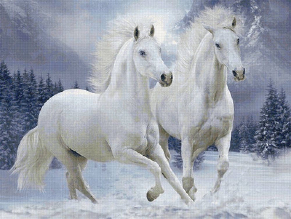 Алмазная мозаика "две лошади"