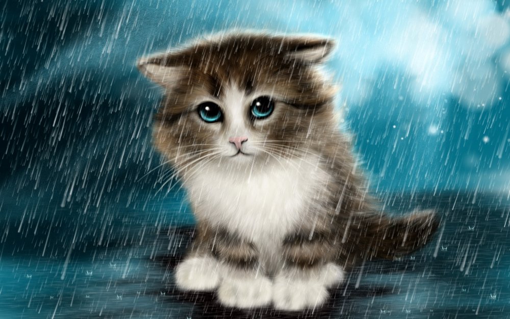 Маленький котенок грустит